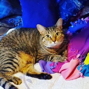 Meet your Posher, Naomi